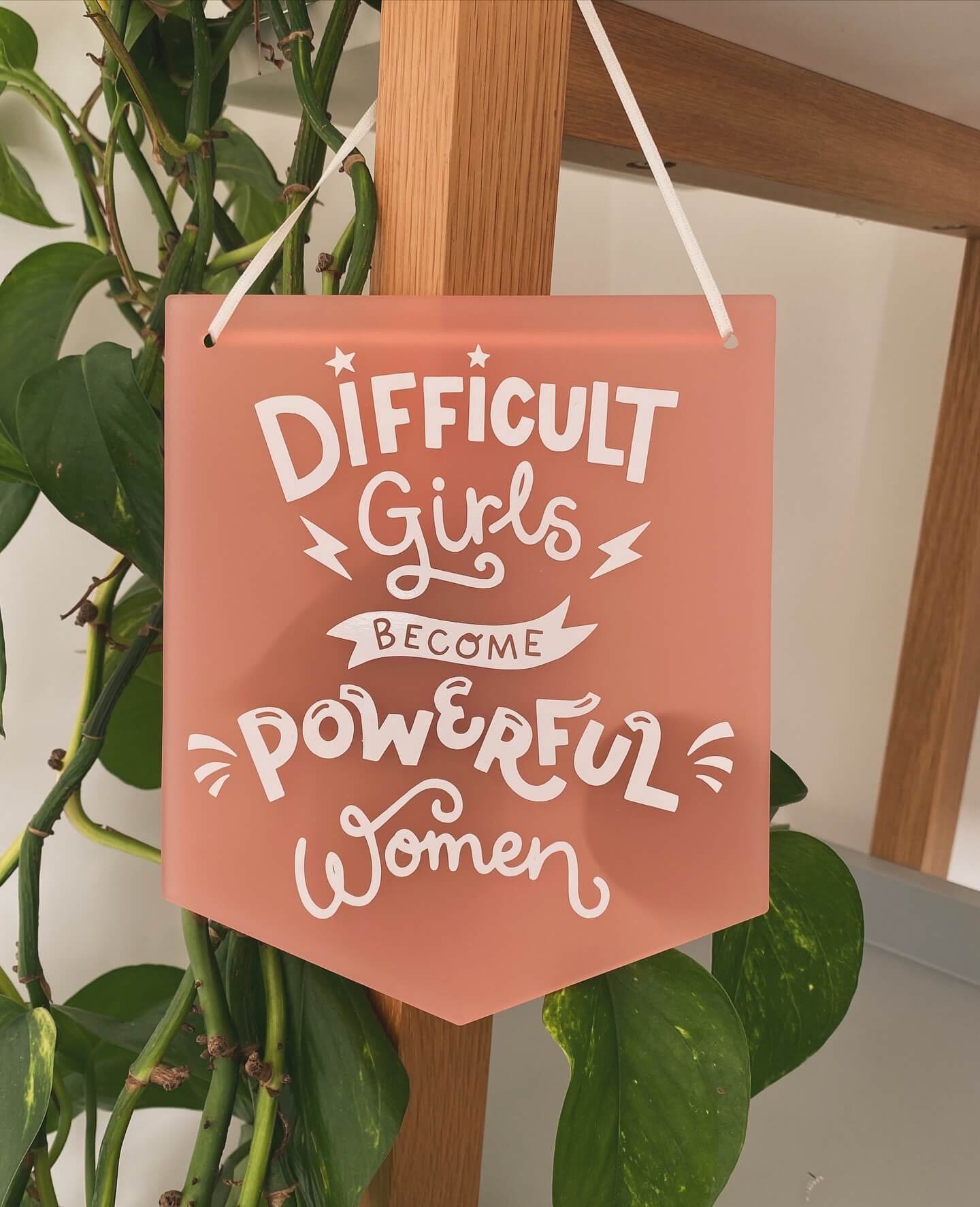 Difficult Girls Acrylic Banner image 0